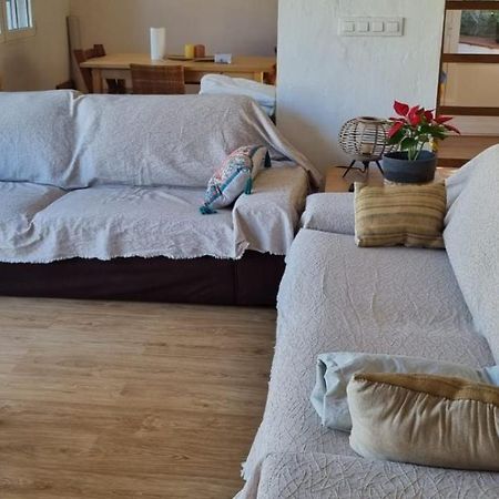 Вилла Agradable Casa Con Piscina Privada Y Jardin Дения Экстерьер фото