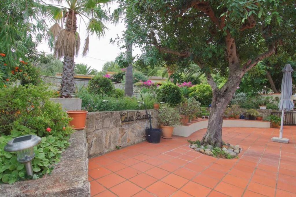 Вилла Agradable Casa Con Piscina Privada Y Jardin Дения Экстерьер фото